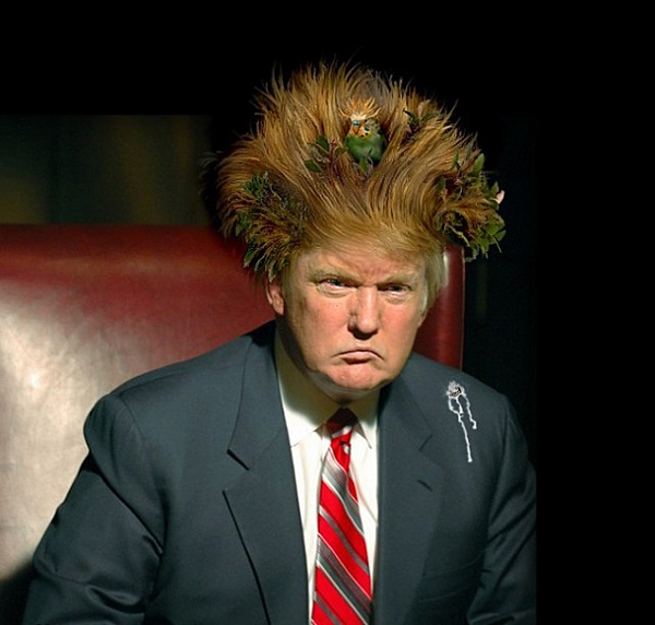 დონალდ ტრამპი და მისი კოზირები GzaPress