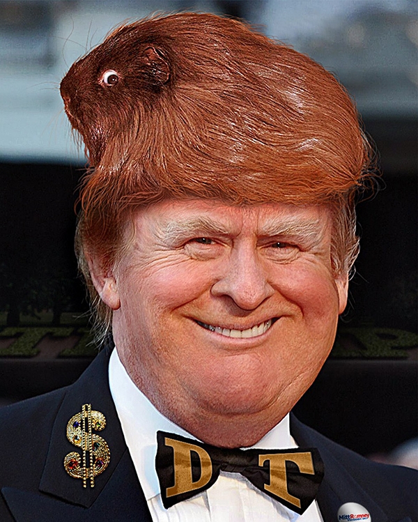 დონალდ ტრამპი და მისი კოზირები GzaPress